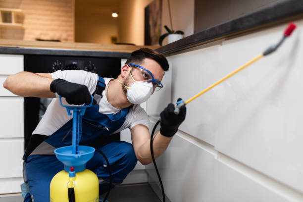 Best Bed Bug Extermination  in Trent Woods, NC