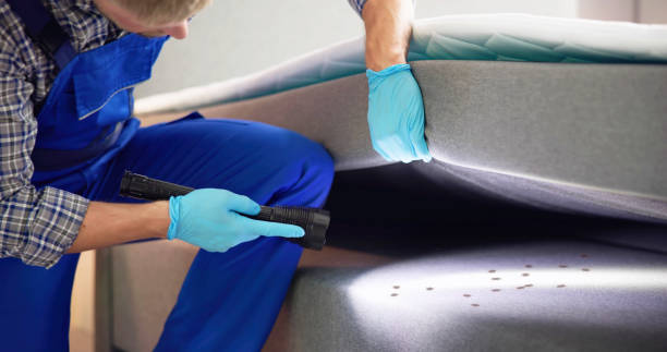 Best Pest Inspection Near Me  in Trent Woods, NC